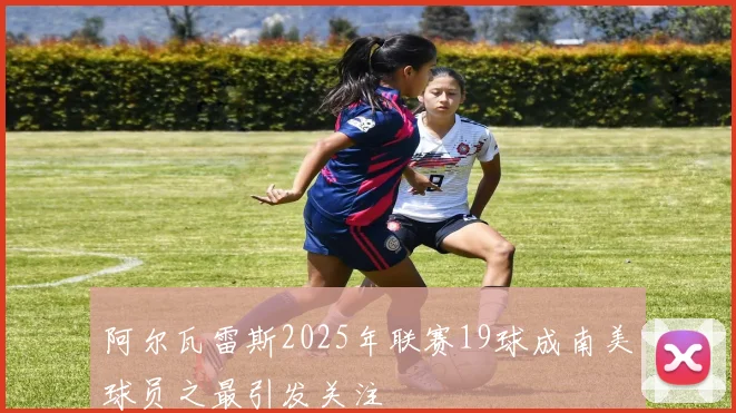 阿尔瓦雷斯2025年联赛19球成南美球员之最引发关注