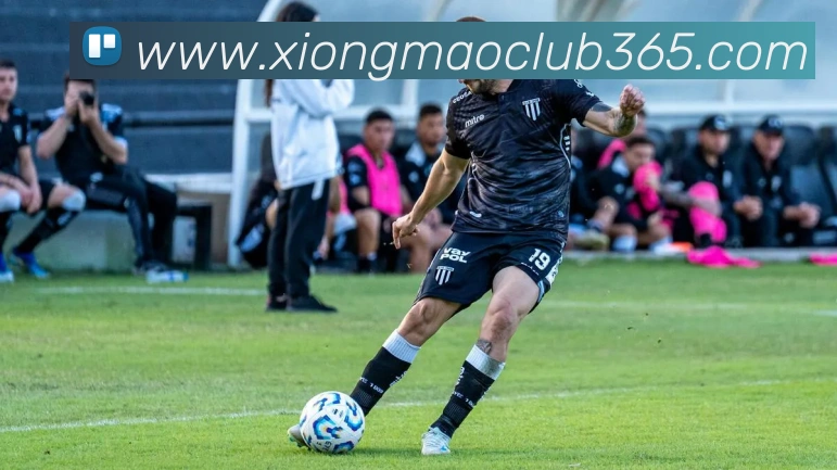 熊猫体育平台生态图